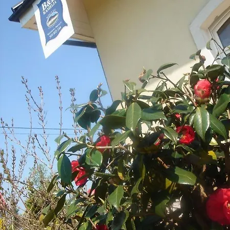Kamelia Bed and breakfast Komorniki (Poznan)